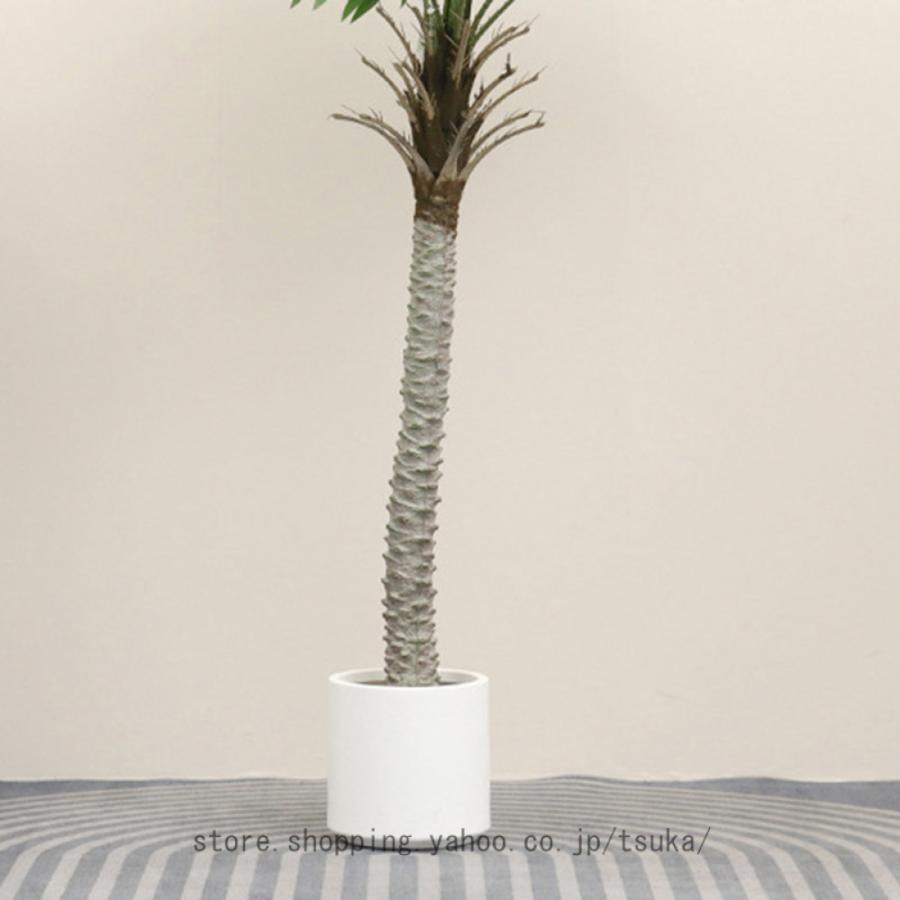 人工観葉植物 ヤシの木 大型 フェイクグリーン 水やり不要 枯れない 害虫が発生しない 本物そっくり インテリアグリーン 観葉樹 おしゃれ 癒し 植木 屋内_10