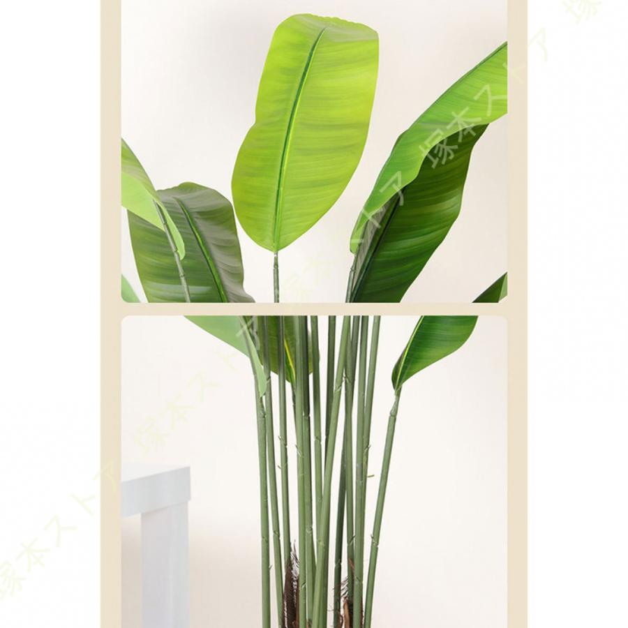 観葉植物 幸福の木 ストレリチア・レギネ フェイクグリーン 常緑樹