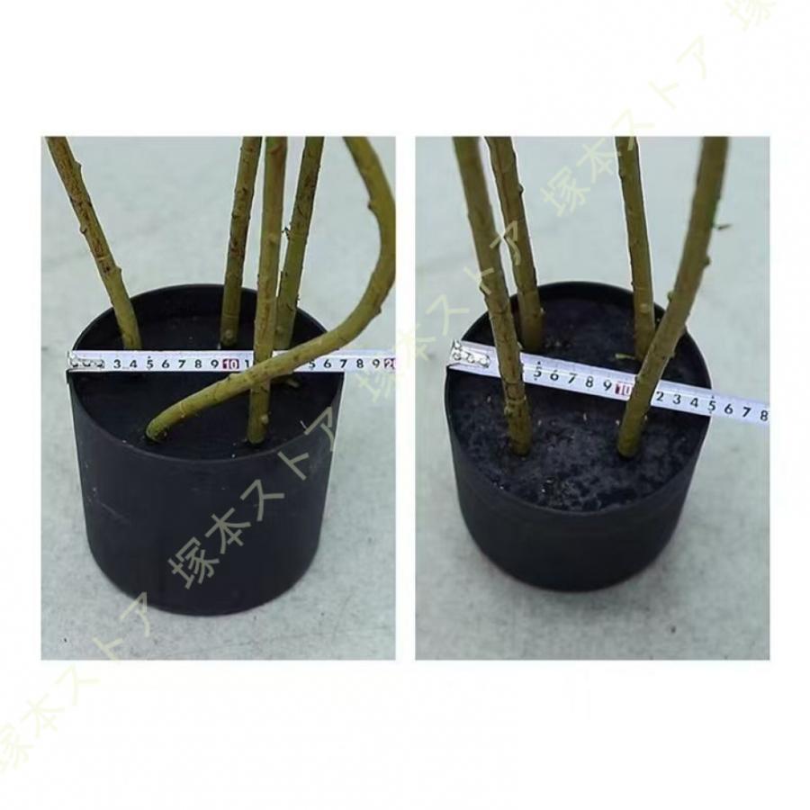 本物そっくり 観葉植物 竹 七夕笹 アジアン インテリア フェイク