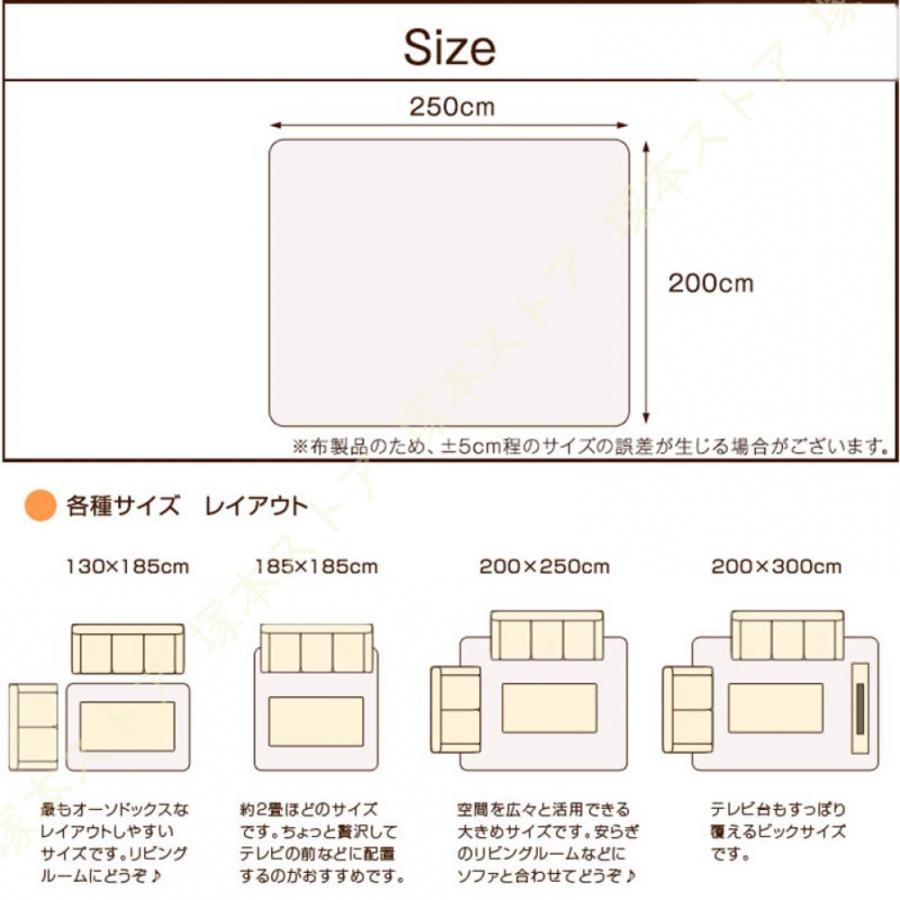 ラグ 低反発 200×250 3畳 極厚 25mm ラグマット フランネル 厚手 防音 滑り止め付 マイクロファイバー ウレタン 低反発ラグ マット カーペット 長方形 絨毯