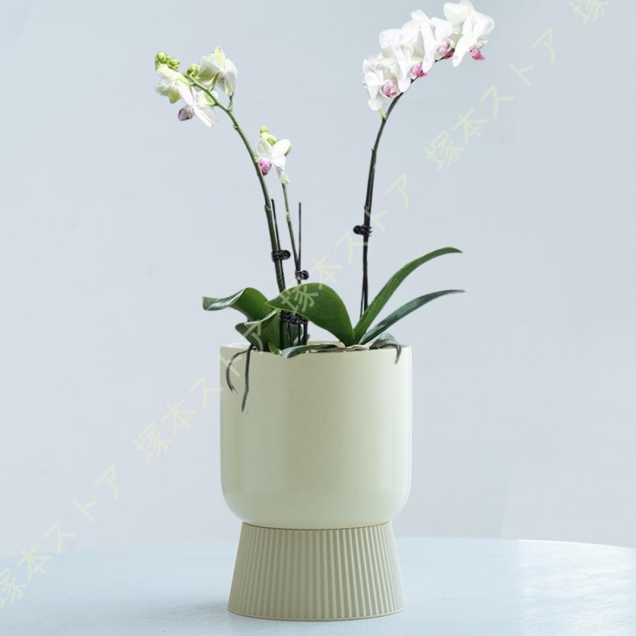 自動吸水プランター 植木鉢 陶器製 底面給水鉢 高さ13.5cm 園芸