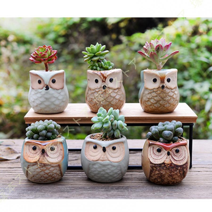 陶器鉢 鉢植え テラコッタ フクロウ 小さめ 園芸用品 ガーデン