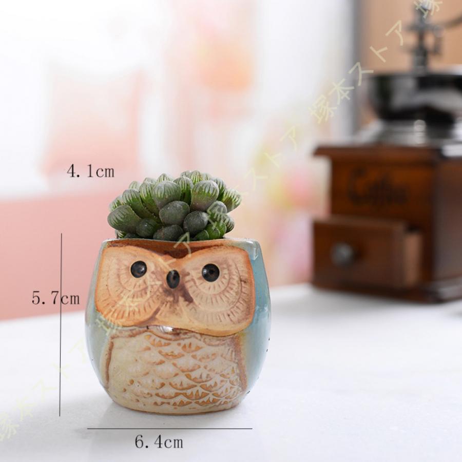 陶器鉢 鉢植え テラコッタ フクロウ 小さめ 園芸用品 ガーデン