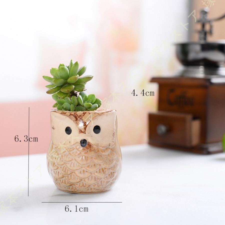 陶器鉢 鉢植え テラコッタ フクロウ 小さめ 園芸用品 ガーデン