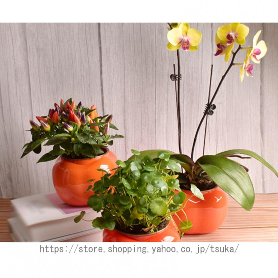 植木鉢 プラスチック プランター 小型 怠け者の植木鉢 北欧 おしゃれ