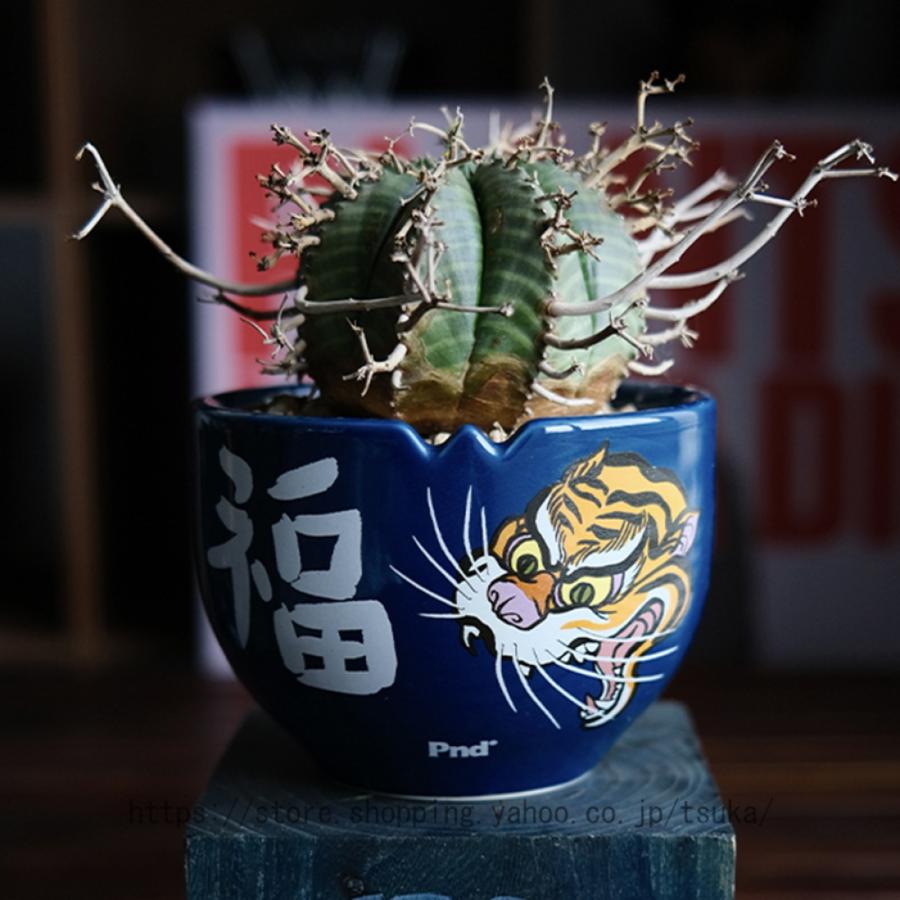 多肉植物鉢 植木鉢 陶器製 シンプル 北欧 プランター 底に水抜き 多肉植物鉢 植木鉢 陶器製 シンプル 北欧 プランター 底に水抜き
