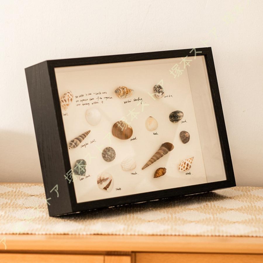貝柄フォートフレーム 写真立て MDF 貝殻標本 立体 フォトフレーム 卓上 シンプル おしゃれ