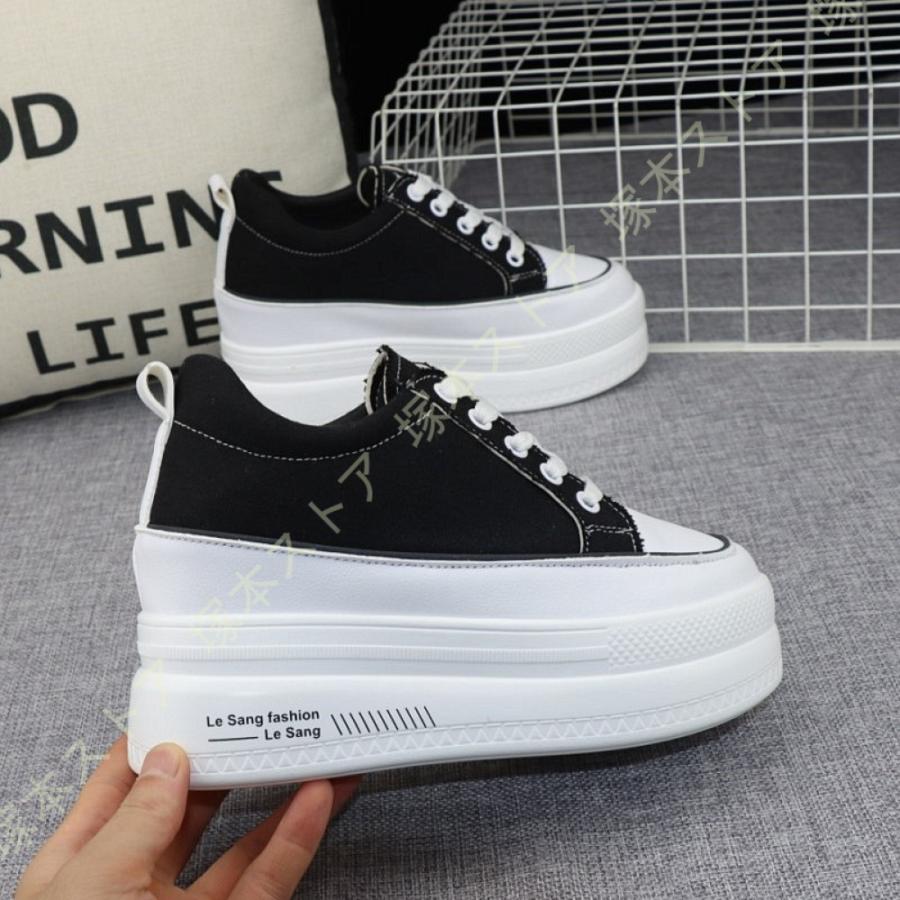 エルテ　ERTE デュインジェニュー　IX/CCC エバニュー公式オンラインショップ / VESUV Windshield / 0.9L pot