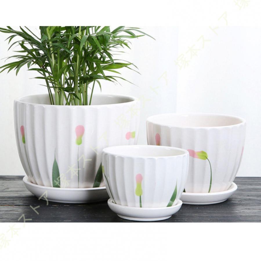 観葉植物 ミニ 観葉 小さい おしゃれ 白 小型 陶器 ポット ガジュマル 鉢 サンスベリア 金のなる木 パキラ 多幸の木 サンセベリア カポック 多肉植物 陶器 | 