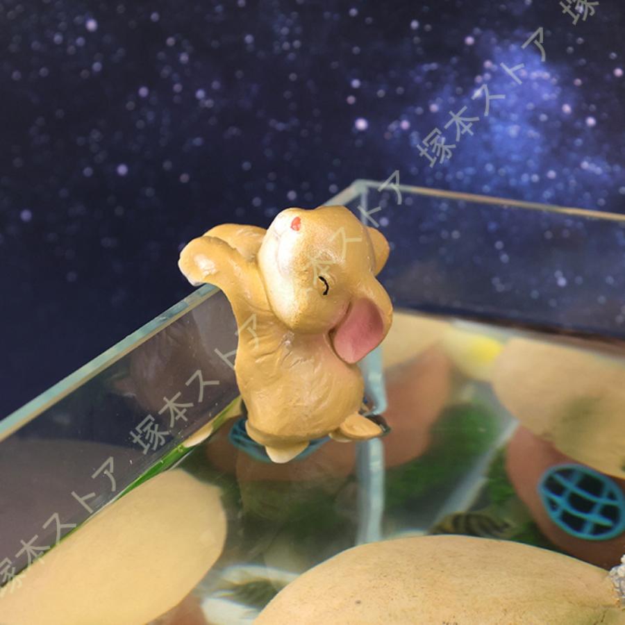置物 水槽の飾り 猫 うさぎ 小さい うさぎの置物 ウサギ 兎