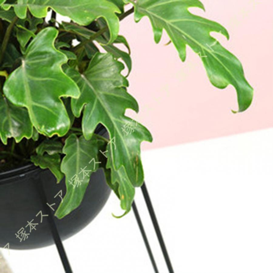 ポット スタンド フラワースタンド 鉢付き 観葉植物 アイアン スチール