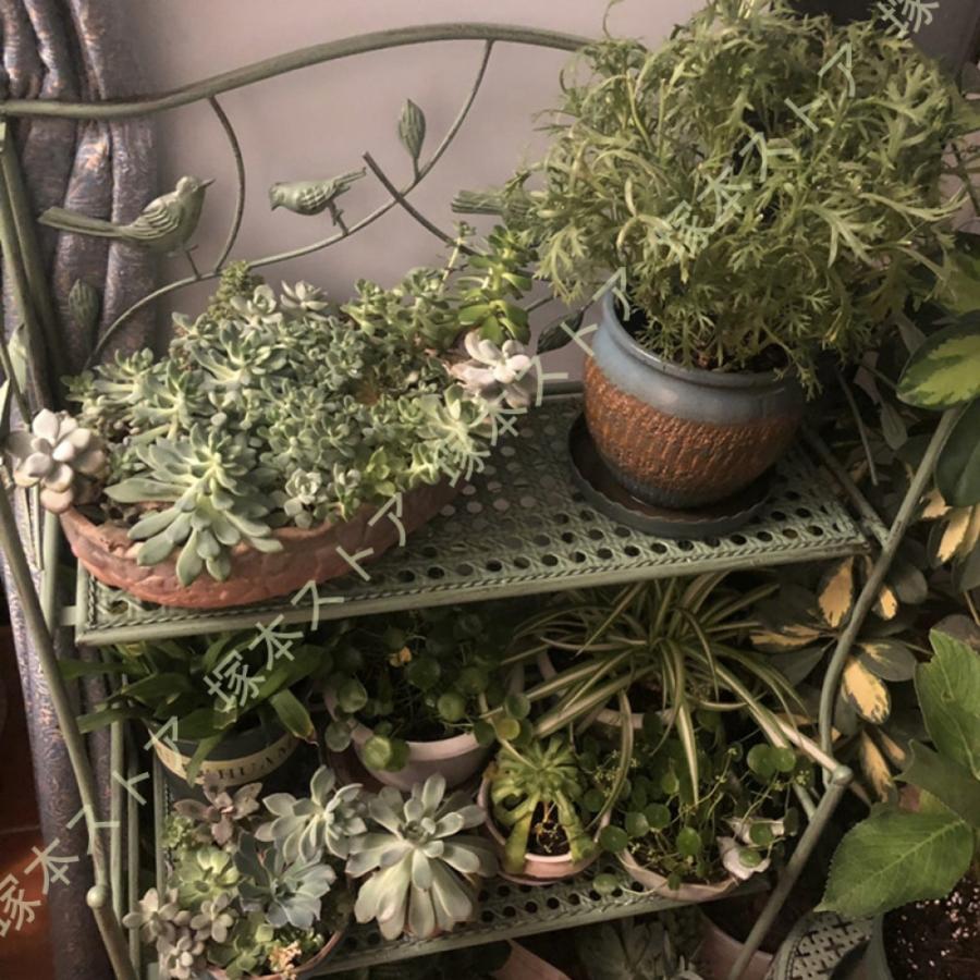 フラワースタンド アイアン 大きいサイズ 花台 スタンド プランター