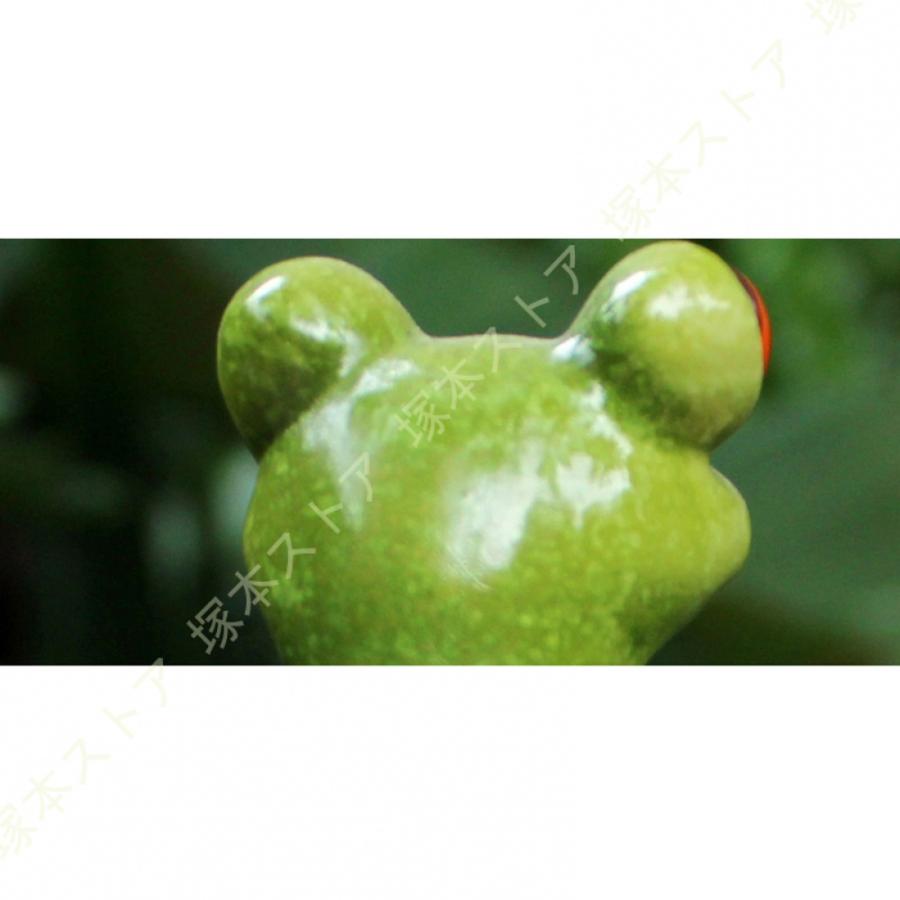 蛙置き物 カエルの置物 玄関 風水 縁起物 置物 商売繁盛 開運 風水