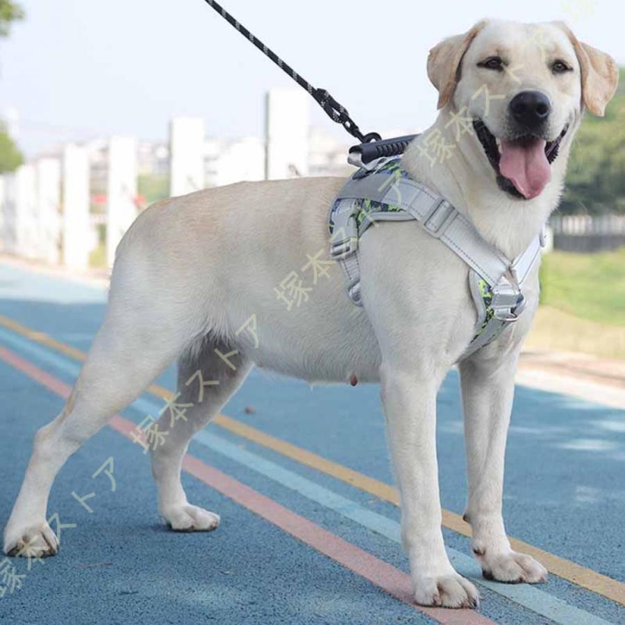 犬 ハーネス 小型犬 猫 リード 犬のハーネス 首輪 中型犬 大型犬 春 夏