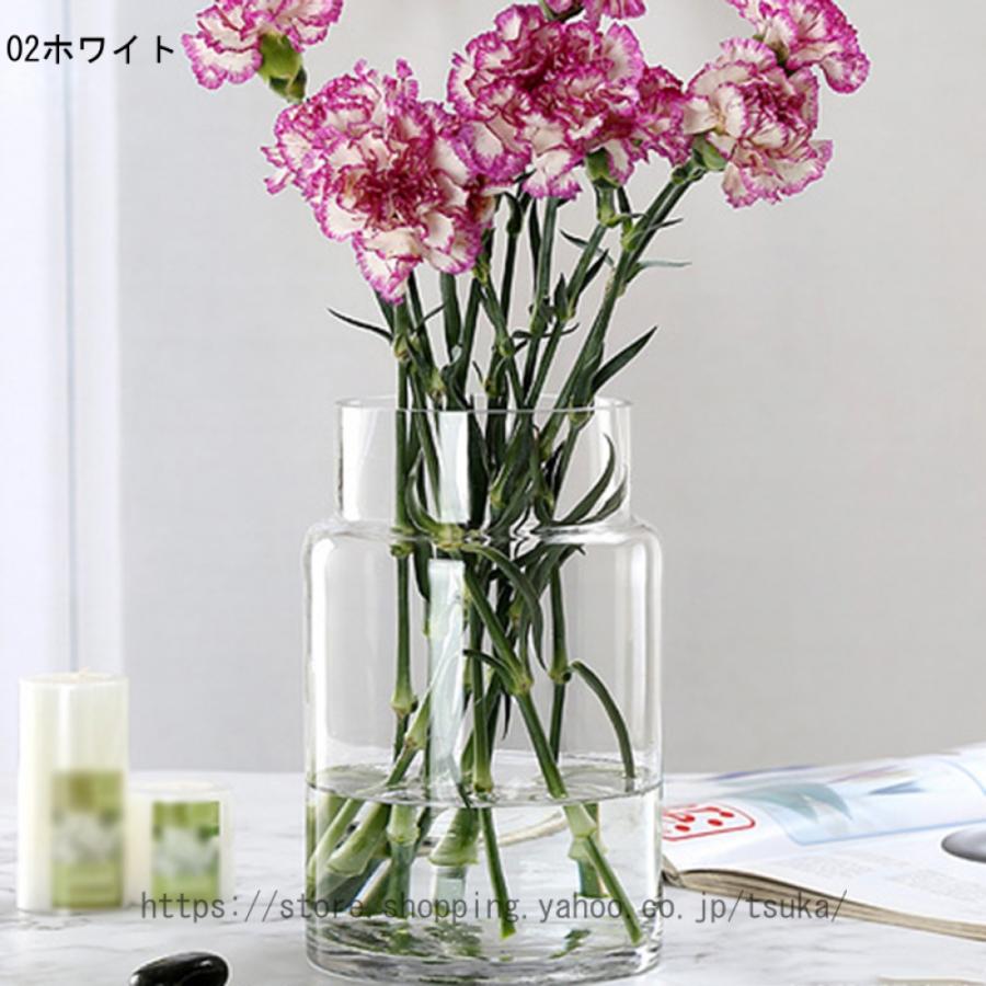 ガラス 花瓶 大型 フラワーベース 広口 花びん 広口タイプ 瓶 ガラス 花瓶 大型 フラワーベース 広口 花びん 広口タイプ 瓶