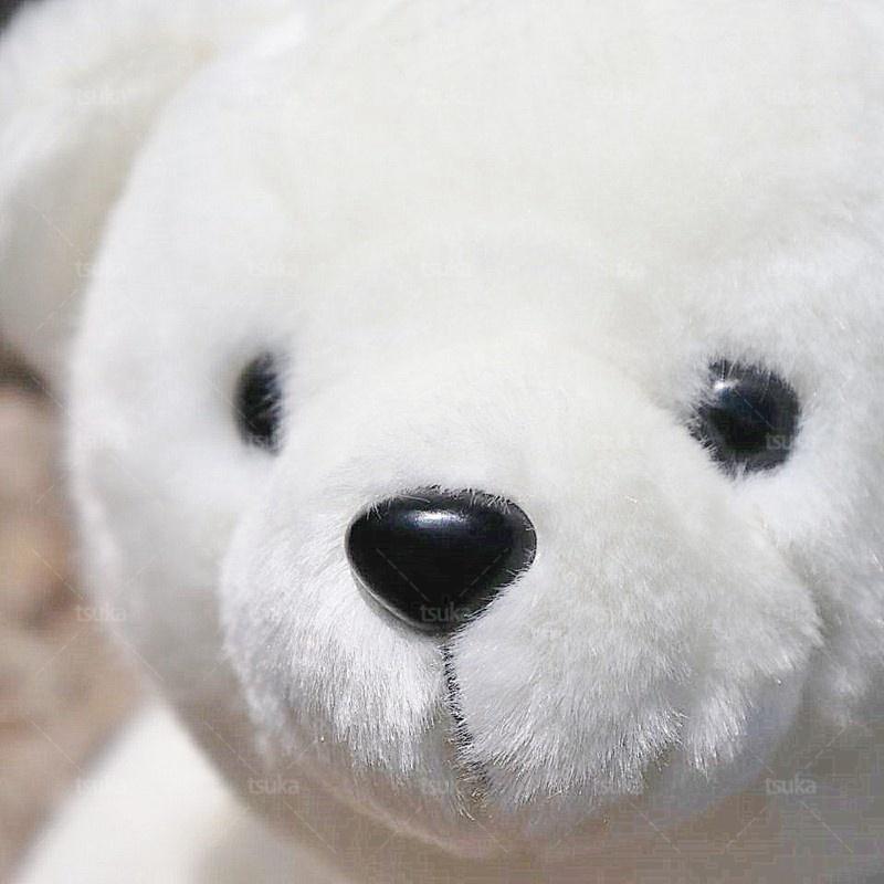 クマぬいぐるみ ホッキョクグマ ぬいぐるみ しろくま かわいい