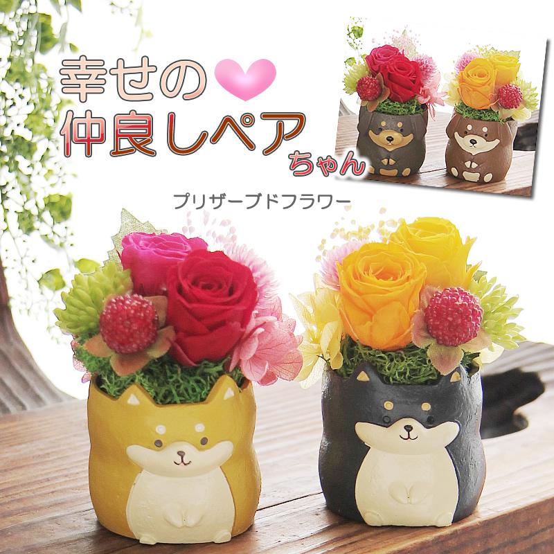 プリザーブドフラワー 花 ギフト プレゼント 女性 ケース入り 幸せの