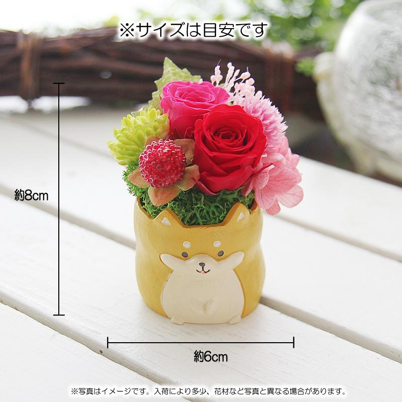 プリザーブドフラワー 花 ギフト プレゼント 女性 ケース入り 幸せの