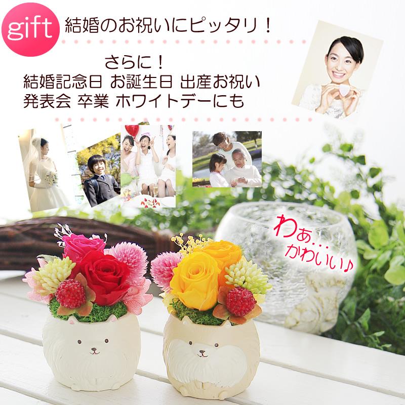 プリザーブドフラワー 花 ギフト プレゼント 女性 ケース入り 幸せの