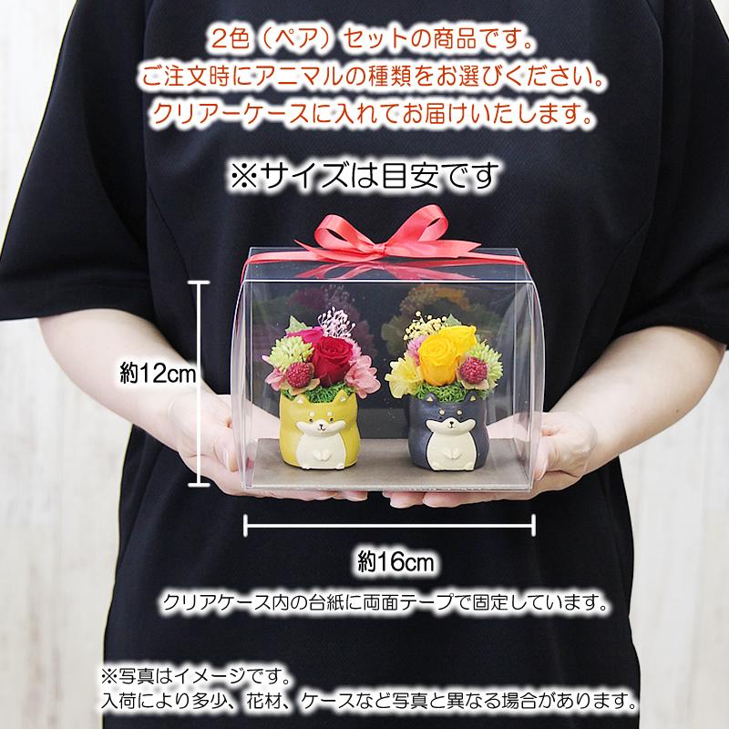 プリザーブドフラワー 花 ギフト プレゼント 女性 ケース入り 幸せの