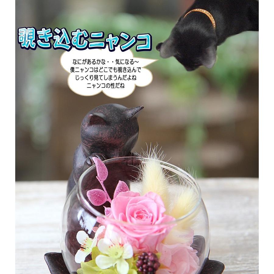 プリザーブドフラワー 花 ギフト プレゼント ねこ日和 猫 ケース入り