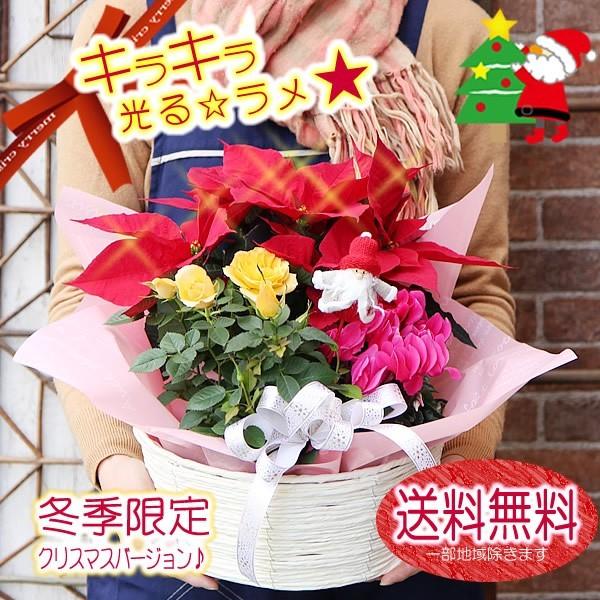 フラワーポケット 塚口ガーデンポインセチア クリスマス ギフト 送料無料 ポインセチア 季節のお花グルーピングバスケット ボリュームセット 鉢植え 超 安い