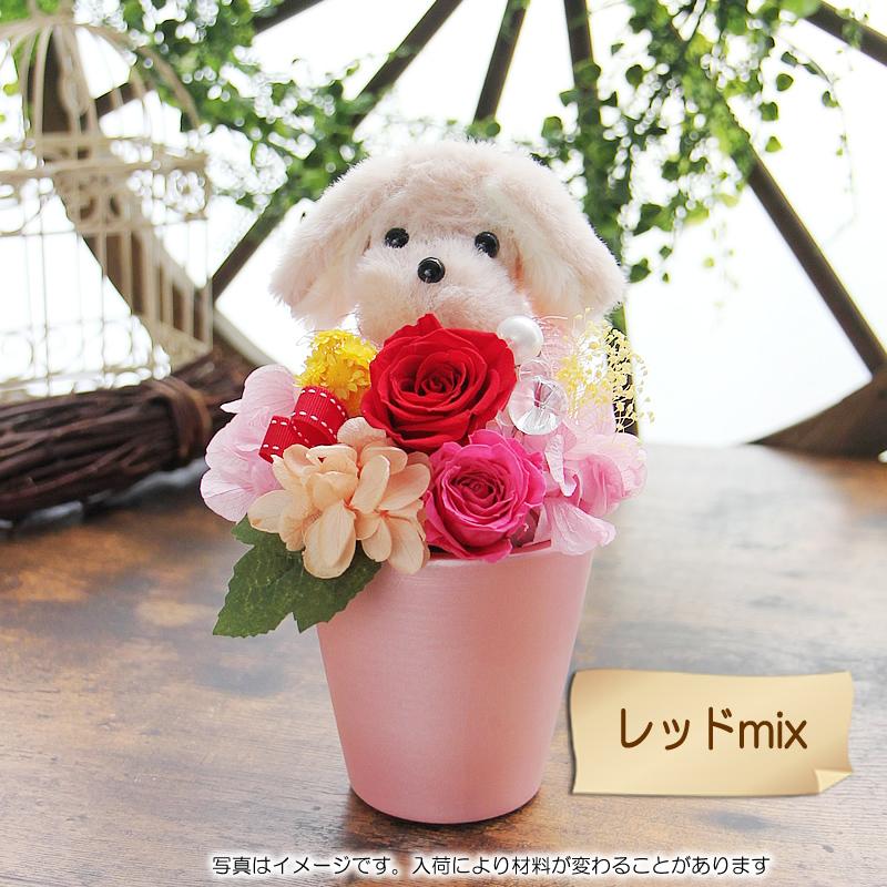 プリザーブドフラワー 母の日 花 ギフト プレゼント ふわふわ わん