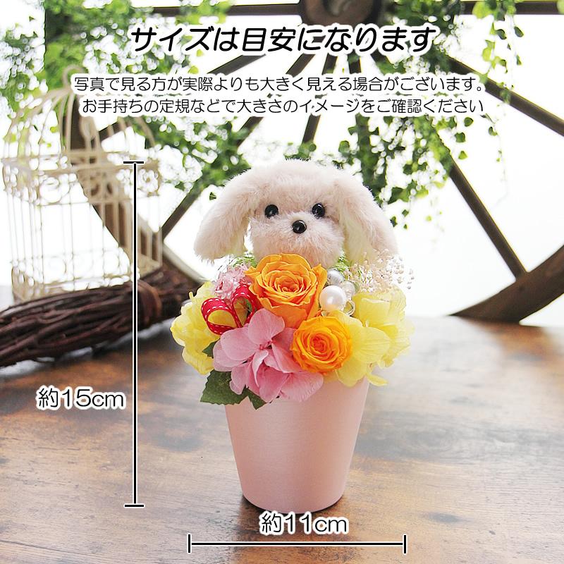 イヴの贈り物 クリスマスプレゼント（プリザーブドフラワー イヴの贈り物 クリスマスプレゼント（プリザーブドフラワー ag373_item.jpg