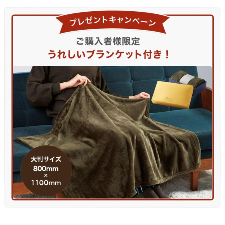 Dimplex（ディンプレックス） 暖炉 フェイク 炎 暖炉型ヒーター