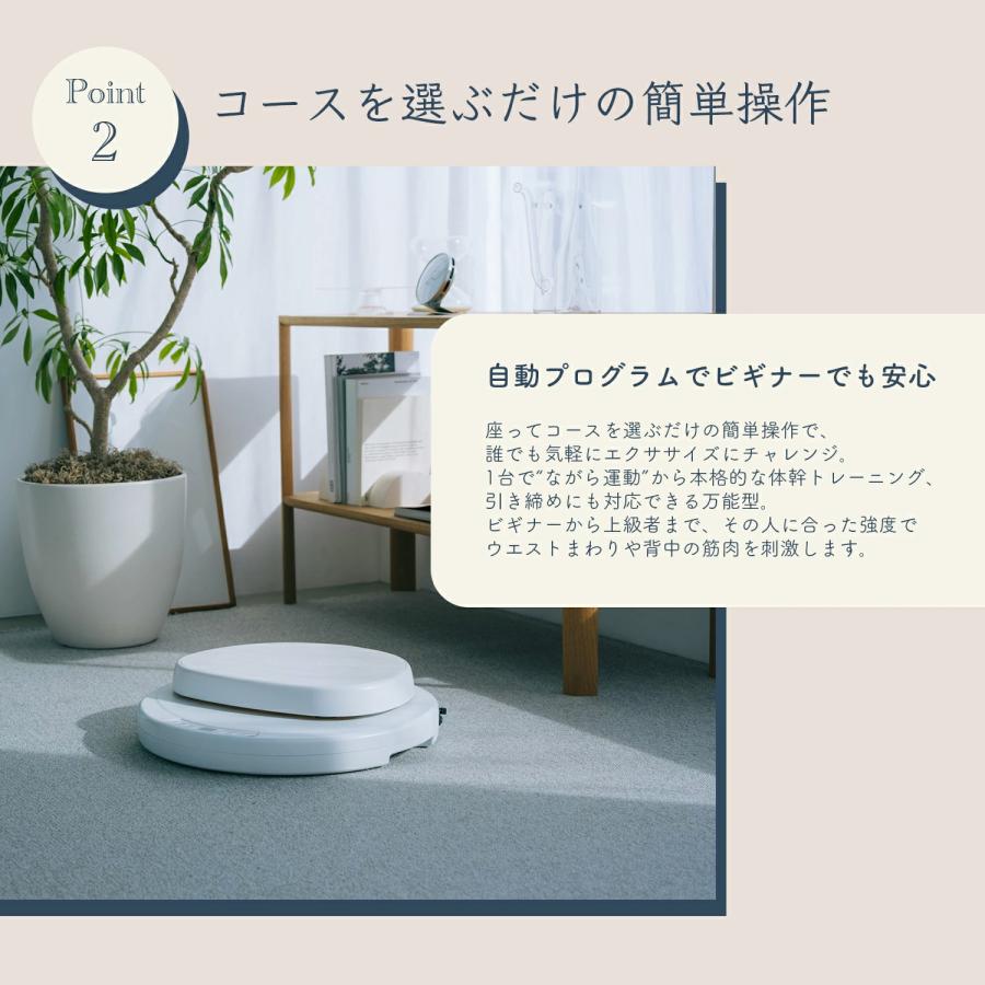 AiMY フープツイスター ツイスト運動 ウエスト 引き締め