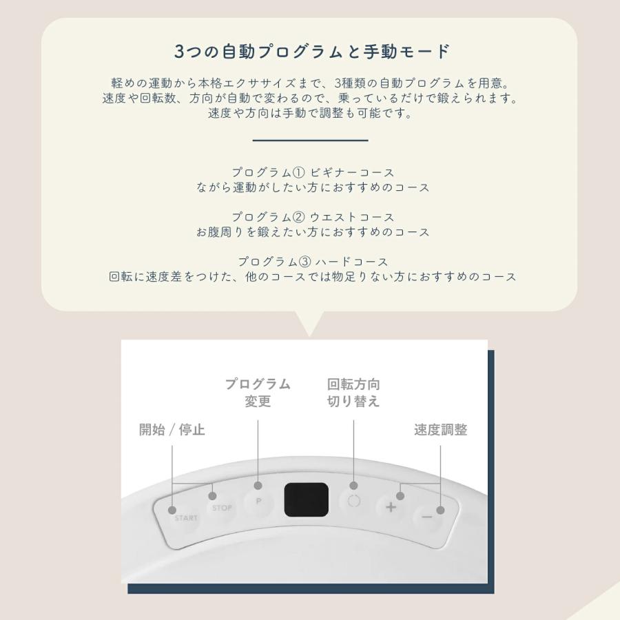 AiMY（エイミー） フープツイスター ツイスト運動 ウエスト 引き締め