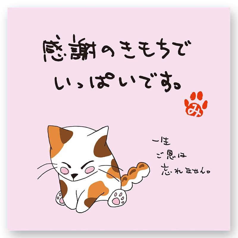 お茶 メッセージ 静岡 ティーバッグ 猫 かわいい｜tsukasaen｜13