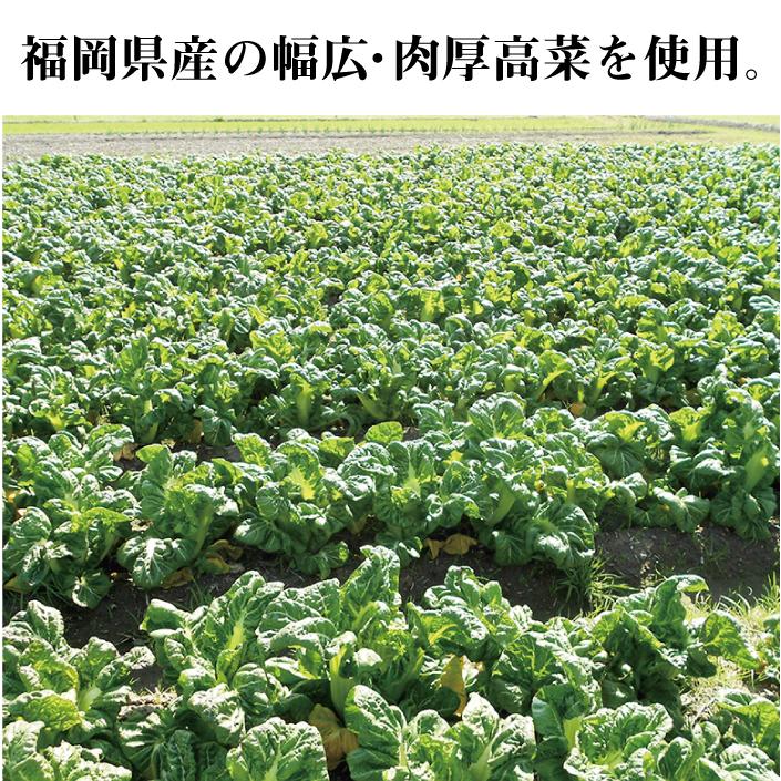 【超激辛】イヌイの福岡県産辛子高菜「漬物語り」極辛3袋セット 160g×3袋セット　送料無料 |  | 04