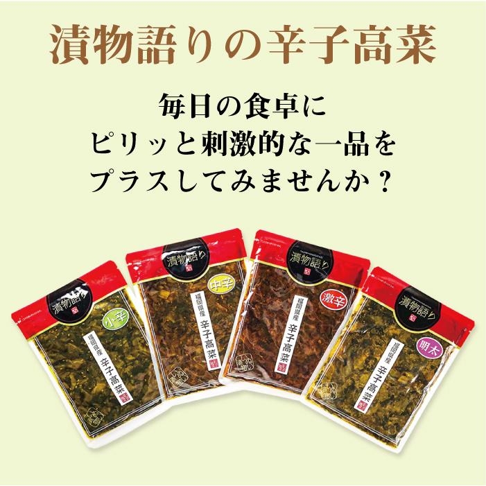 【超激辛】イヌイの福岡県産辛子高菜「漬物語り」極辛3袋セット 160g×3袋セット　送料無料 |  | 06