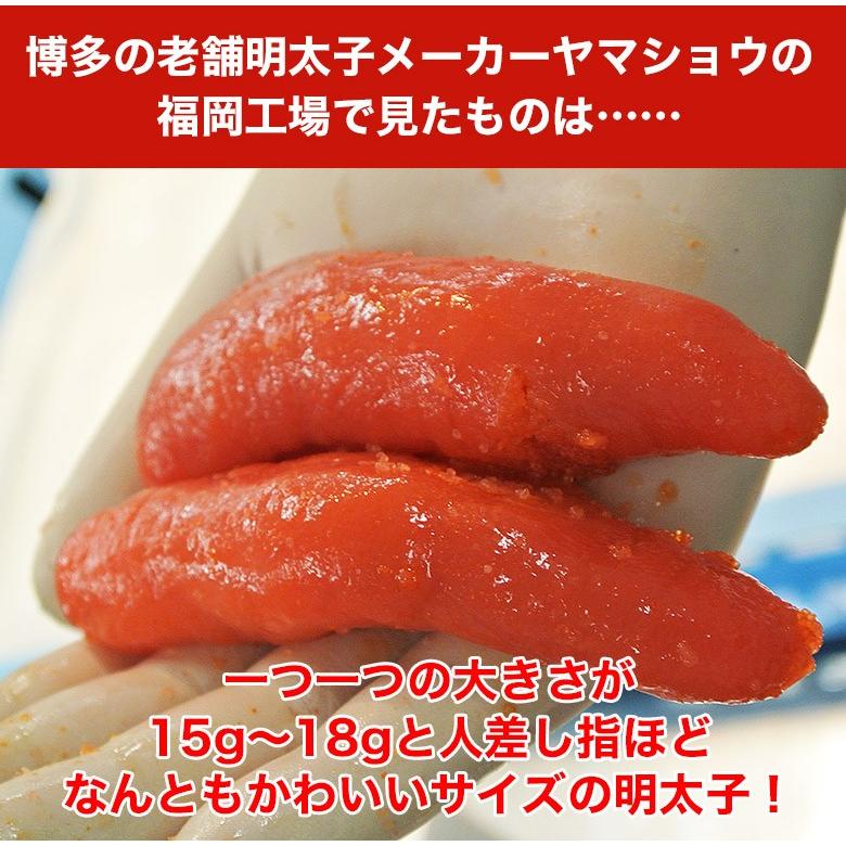 柔らかい 福岡 博多紀久屋 無着色辛子明太子 F 2g 4 深い味わいとコクのある辛子明太子 Shs 魚介類 水産加工品 魚卵 お歳暮 父の日 特産品 Fucoa Cl