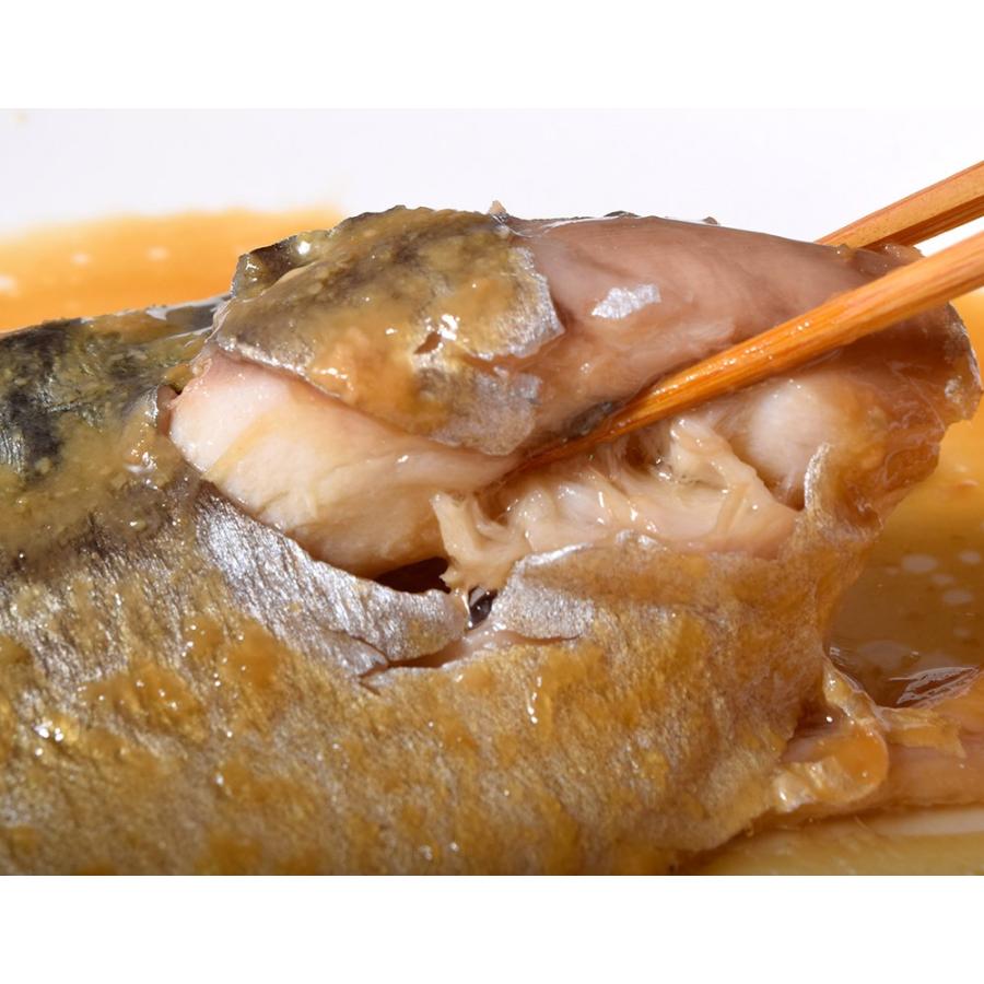 訳あり 業務用 総菜 サバ さば 鯖 送料無料 さばの味噌煮 6切入り 4袋 計約1 2キロ 湯煎で温めるだけ 冷凍 1s イエノミドットコム 通販 Yahoo ショッピング