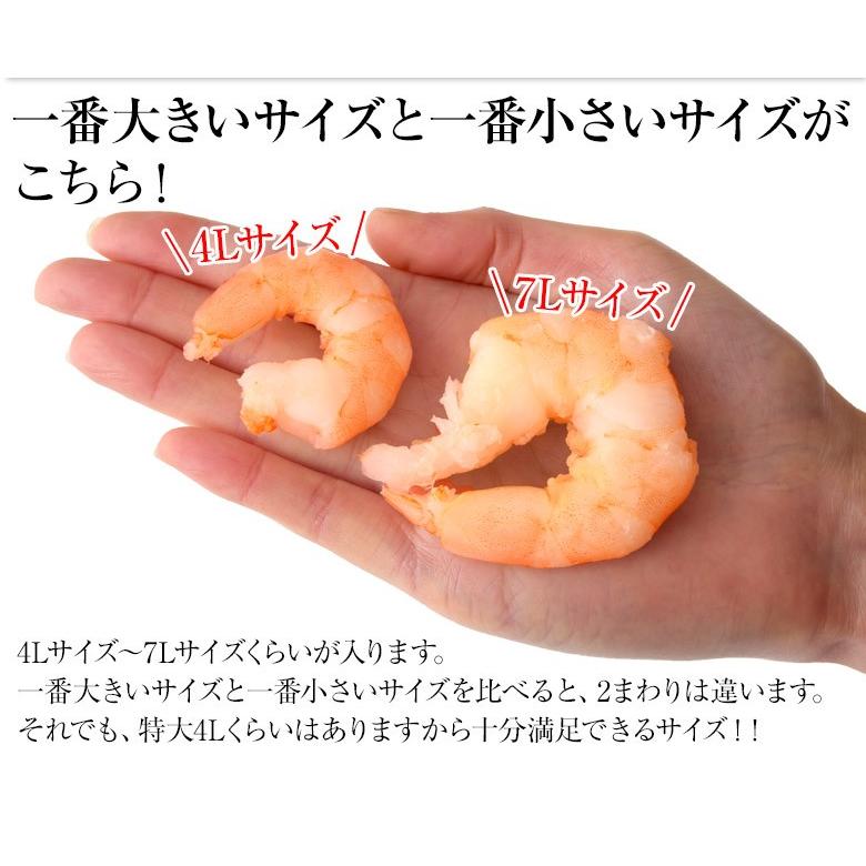 えび むき海老 特大ムキエビ 無選別 1kg 解凍後約800g  むきえび 殻なし 背ワタ除去済み エビチリ エビマヨ 簡単調理 冷凍 送料無料｜tsukiji-ichiba2｜07