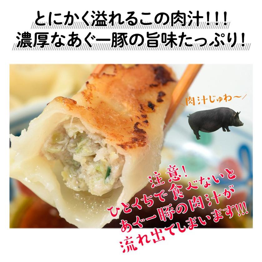 餃子 ぎょうざ 美ら島あぐー豚100 使用 あぐー豚の餃子 個入り 480g 2パックセット 贈り物 おつまみ お弁当 おかず 冷凍食品 冷凍同梱 送料無料 1z イエノミドットコム 通販 Yahoo ショッピング