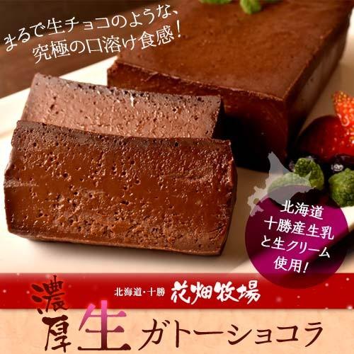 ケーキ チョコレート 花畑牧場 濃厚 生 ガトーショコラ 480g 2本セット 業務用 プレゼント おやつ チョコケーキ 冷凍 同梱可能 1z イエノミドットコム 通販 Yahoo ショッピング