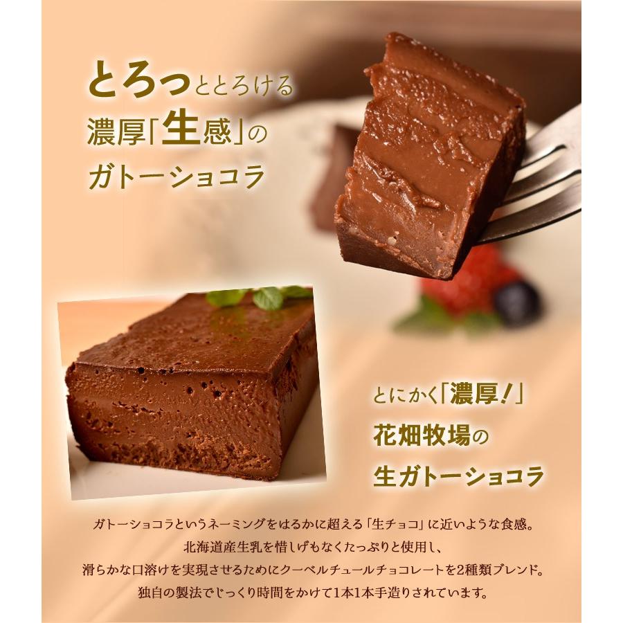 ケーキ チョコレート 花畑牧場 濃厚 生 ガトーショコラ 480g 2本セット 業務用 プレゼント おやつ チョコケーキ 冷凍 同梱可能 1z イエノミドットコム 通販 Yahoo ショッピング