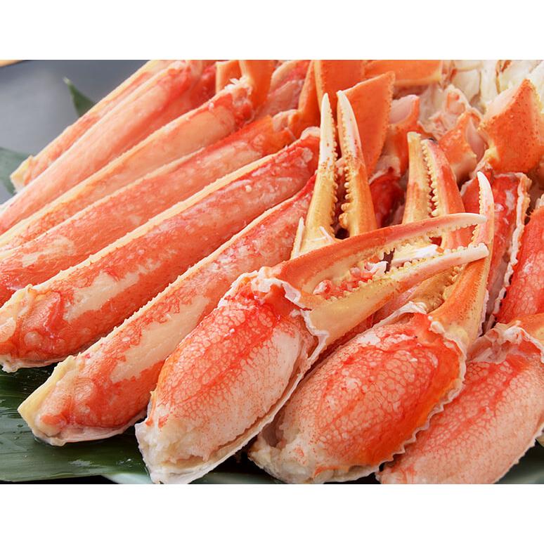お買得 立派なズワイガニをお届け 特大ボイルズワイガニ 送料無料 冷凍 総重量 グロス約2kg Net1 6kg 5 6肩 船凍品 ロシア産 北海道加工 カニ