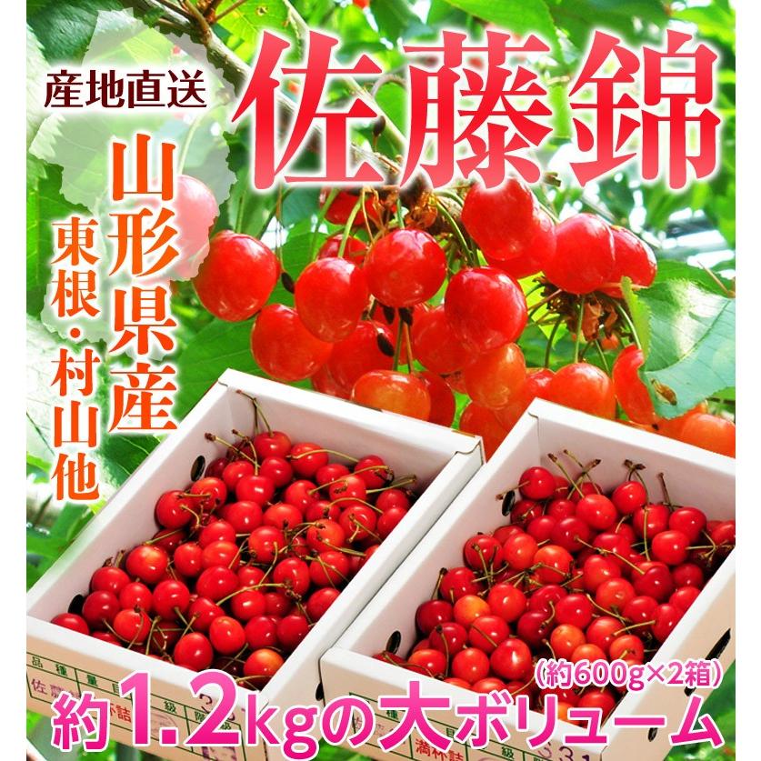 ギフト さくらんぼ 佐藤錦 山形県産 Mサイズ 約1 2kg 600ｇ 2箱 秀品 化粧箱 産地直送 サクランボ 送料無料 3a イエノミドットコム 通販 Yahoo ショッピング