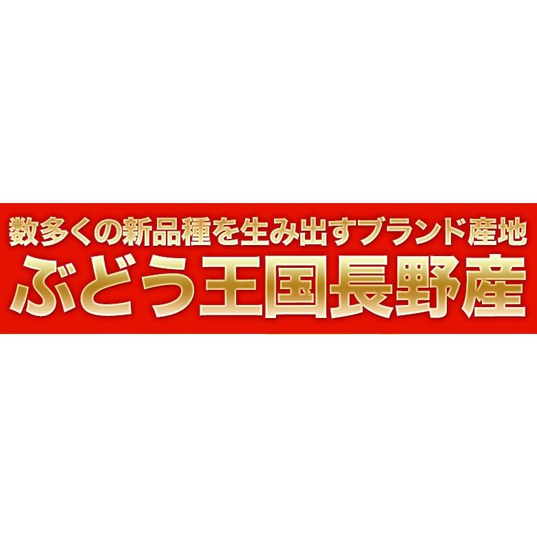 『シャインマスカット』長野県産 2房 計約800g ※常温 送料無料｜tsukiji-ichiba2｜02