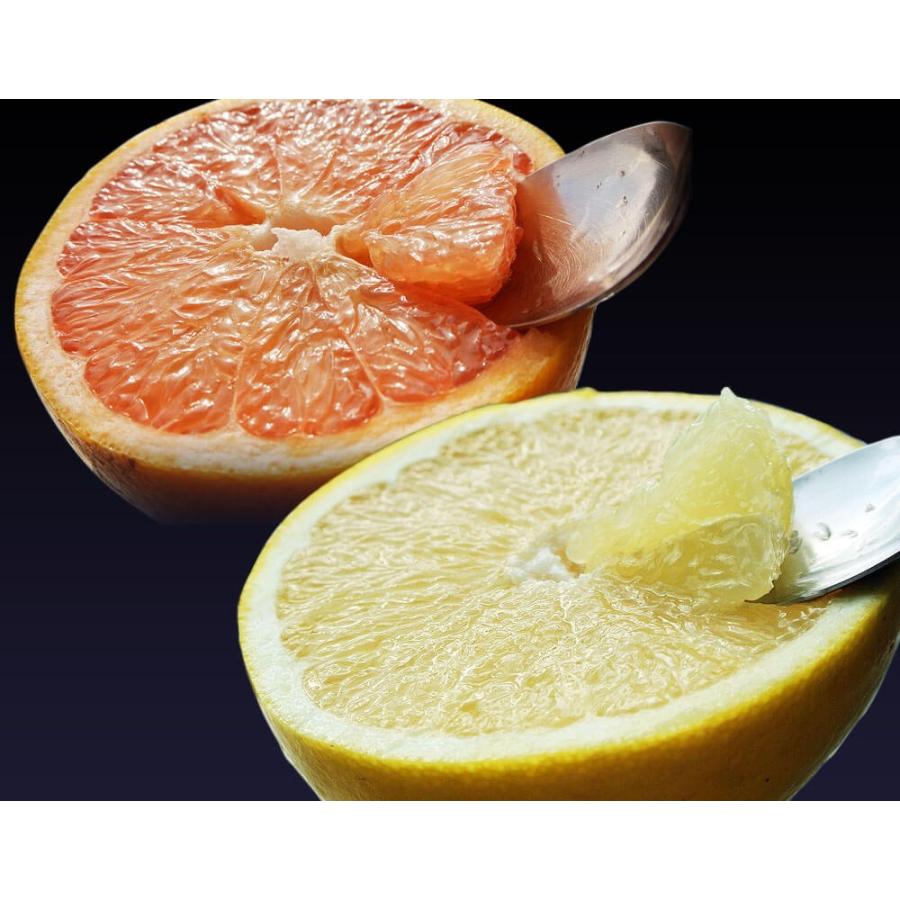 柑橘 フロリダ産 ゴールデンクラウン グレープフルーツ ルビー＆ホワイト 約2.5kg×2箱（1箱：6〜8玉入） 送料無料　｜tsukiji-ichiba2｜04