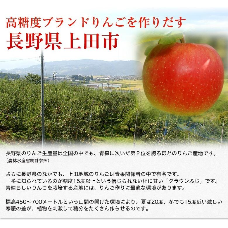 《送料無料》長野県上田の極甘りんご「訳ありサンふじ」約4.5キロ　2箱 ※常温【同梱不可】☆｜tsukiji-ichiba2｜04