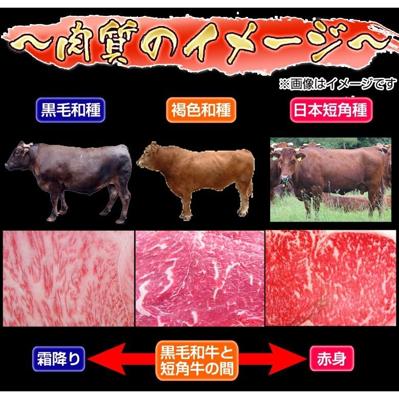 ギフト 肉 牛 牛肉 短角 短角牛 流通1％の幻の赤身 山長ミートさんの短角牛 焼肉用 400g前後 内祝い 冷凍 産地直送 同梱不可 送料無料｜tsukiji-ichiba2｜05