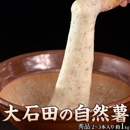 ギフト とろろ 自然薯 じねんじょ 山形県産大石田 雪下 秀品 1キロ 2 3本入り 産地直送 常温 同梱不可 3z イエノミドットコム 通販 Yahoo ショッピング