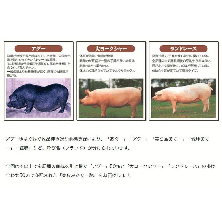 豚 肉 沖縄県産 美ら島あぐー豚 バラ ロース 各500g 計1キロ しゃぶしゃぶセット 冷凍 送料無料｜tsukiji-ichiba2｜04