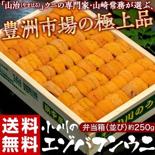 うに ウニ 雲丹 小川 エゾバフンウニ 弁当箱 並び 約250g 北海道またはロシア産 冷蔵 豊洲市場直送 同梱不可 送料無料 uni2002261イエノミドットコム 通販