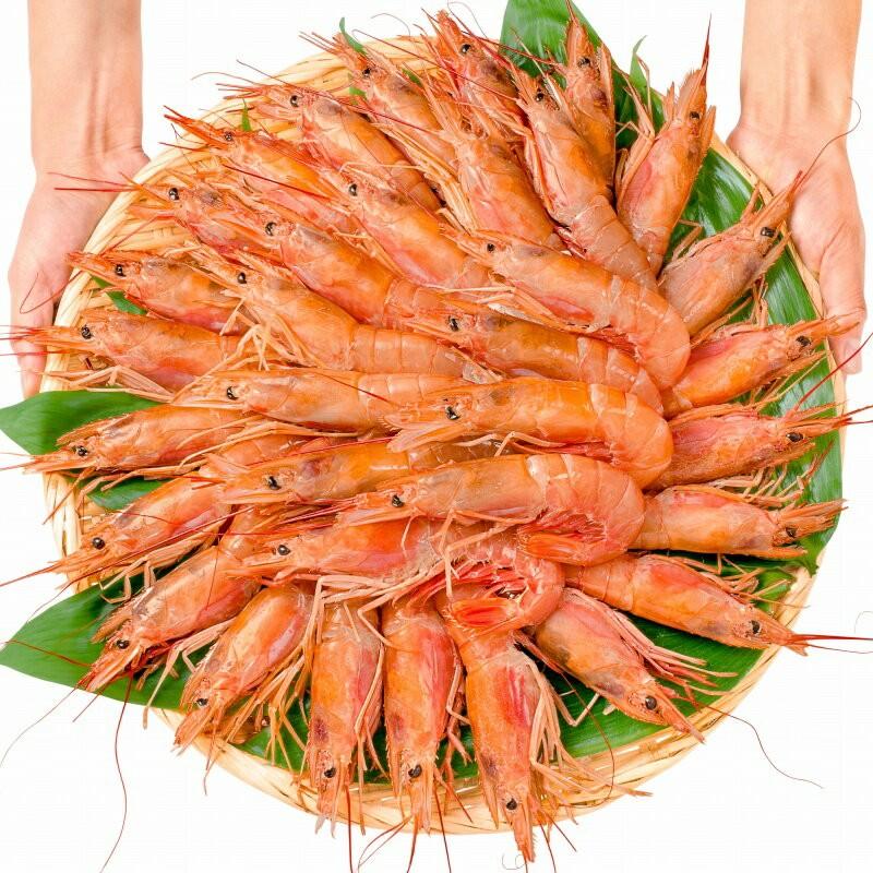 赤海老 赤えび 2kg 超特大 L1 40尾 業務用 1箱 赤エビ あかえび アカエビ 寿司 刺身用 Akaebi 1case うに カニ まぐろなら築地の王様 通販 Yahoo ショッピング